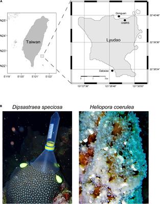 Bacterial Communities in Coral Offspring Vary Between in situ and ex situ Spawning Environments